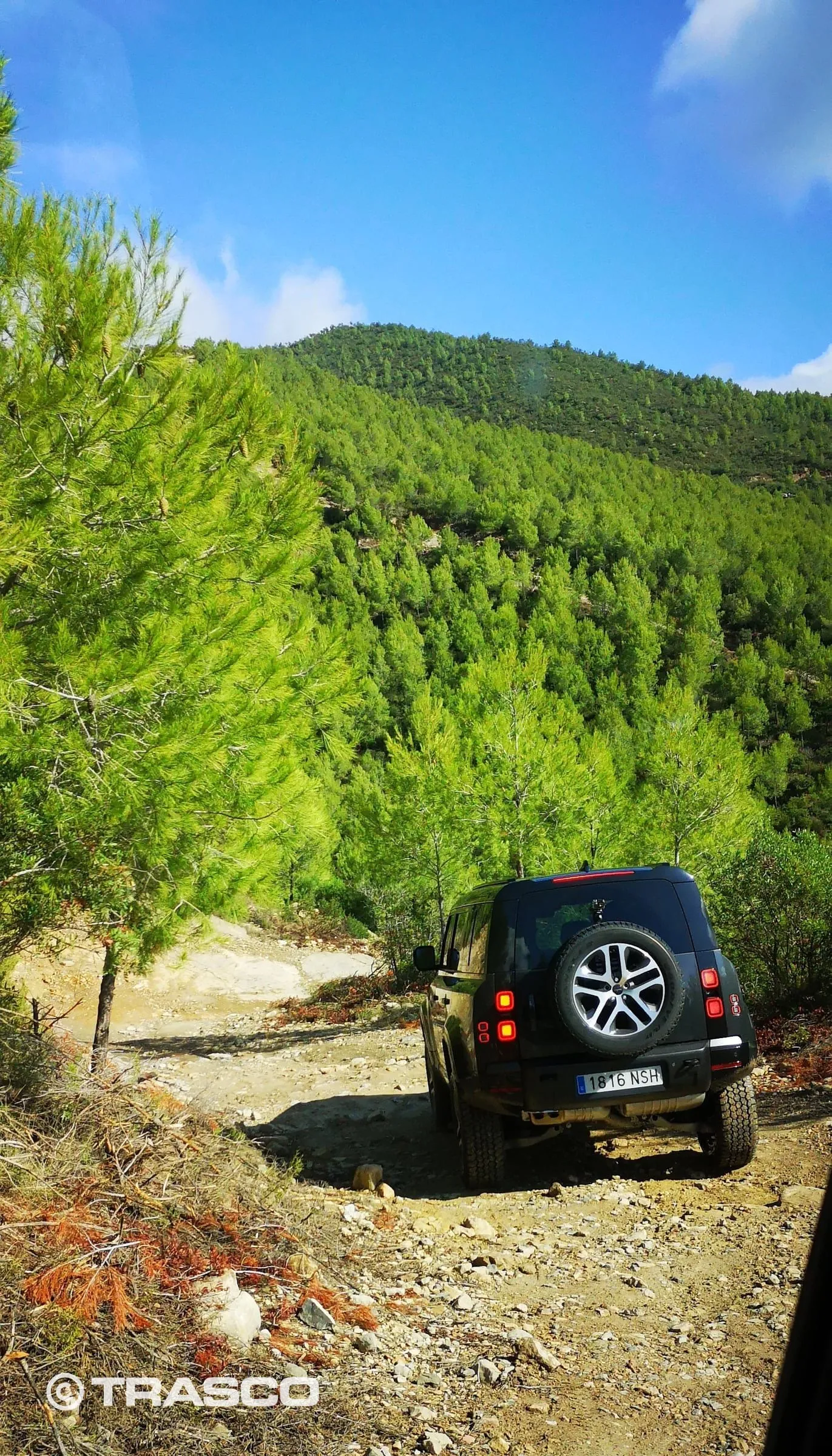 Defender sur une piste de gravier entre les pinèdes de Les Comes