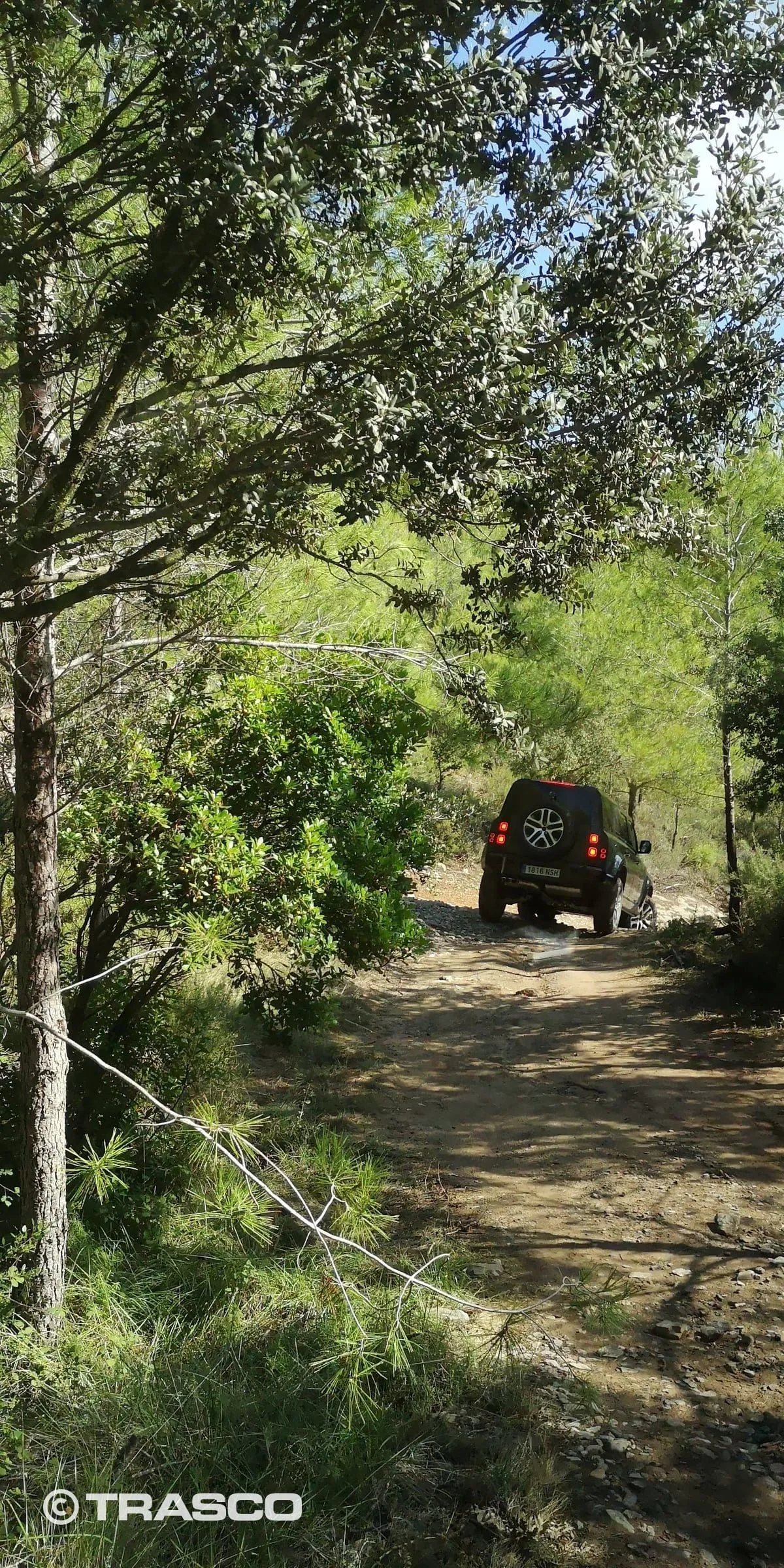 Defender sur un étroit chemin forestier à Les Comes